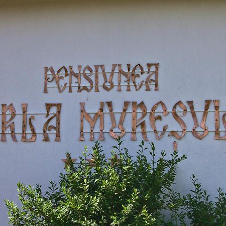 Perla Muresului Άλμπα Ιούλια Εξωτερικό φωτογραφία