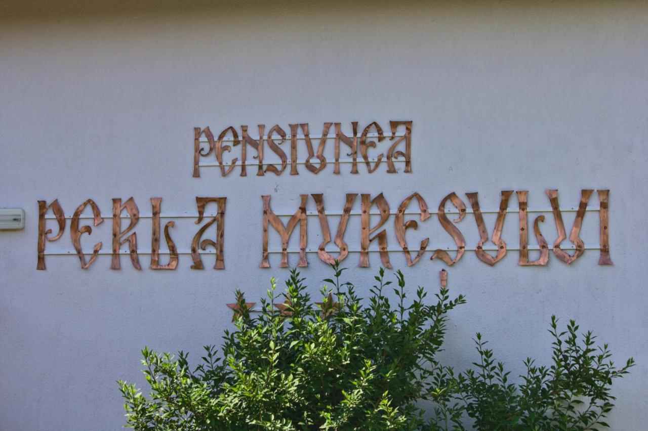 Perla Muresului Άλμπα Ιούλια Εξωτερικό φωτογραφία